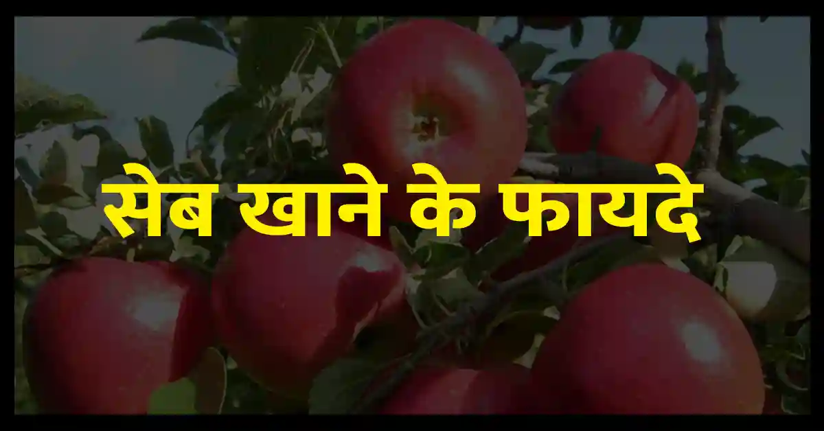 सेब खाने के फायदे क्या है Apple Benefits in Hindi Wonder Facts Hindi